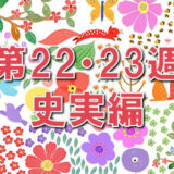 おちょやん ネタバレ22週23週史実編