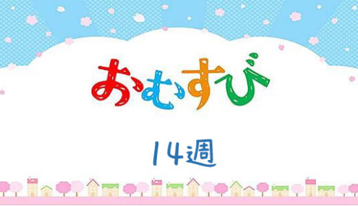 おむすびネタバレあらすじ14週｜結婚に両家から反対！？結ちゃんと翔也くんの新たな試練